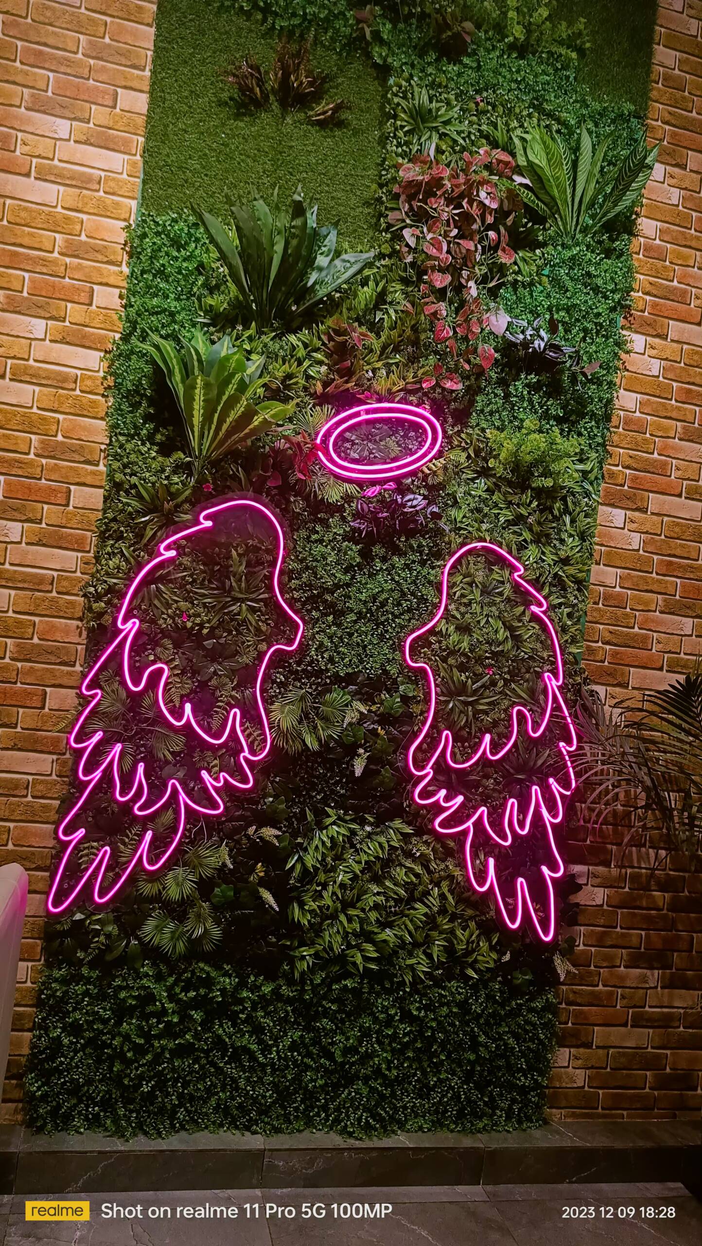 Neon 1